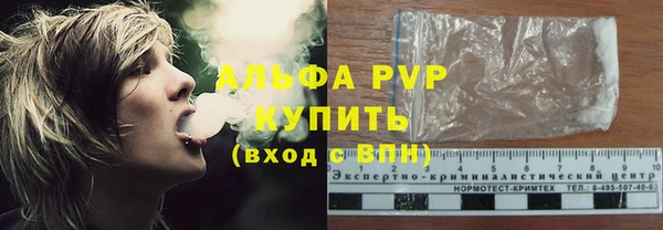 СК Бородино