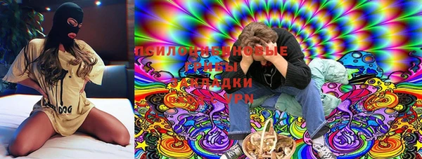 молекула духа Бронницы