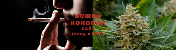 СК Бородино