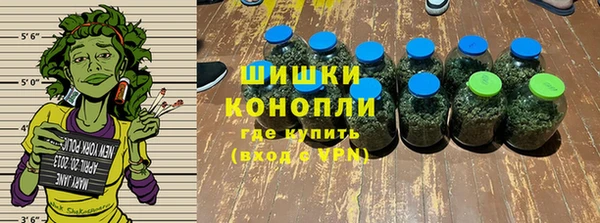 СК Бородино