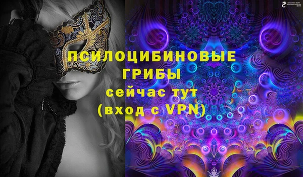 молекула духа Бронницы