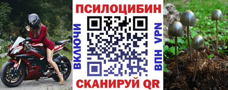 Псилоцибиновые грибы GOLDEN TEACHER  где купить наркоту  Яблоновский 